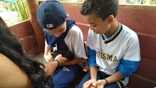 Bicho Mania 2022